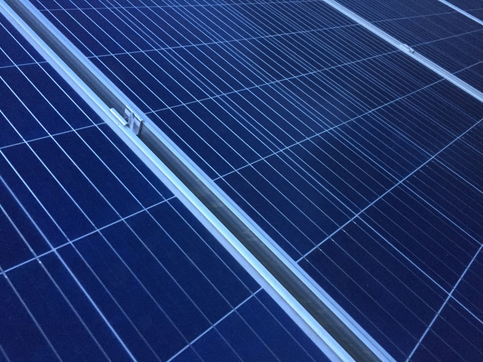 zonnepanelen voor bedrijven