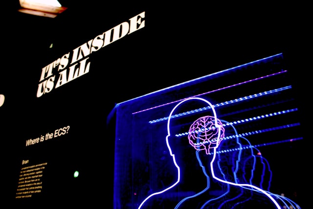 psycholoog Eindhoven